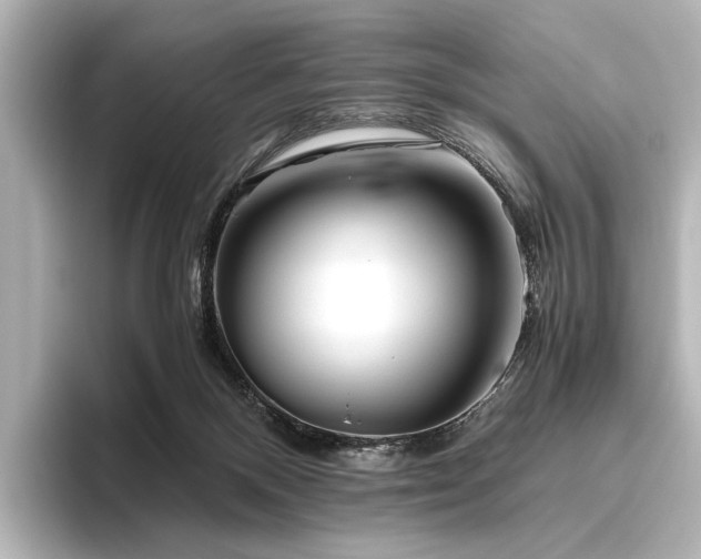 X0000096400120200801241208