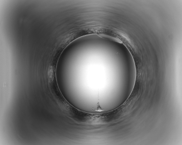 X0000096400121200801241208