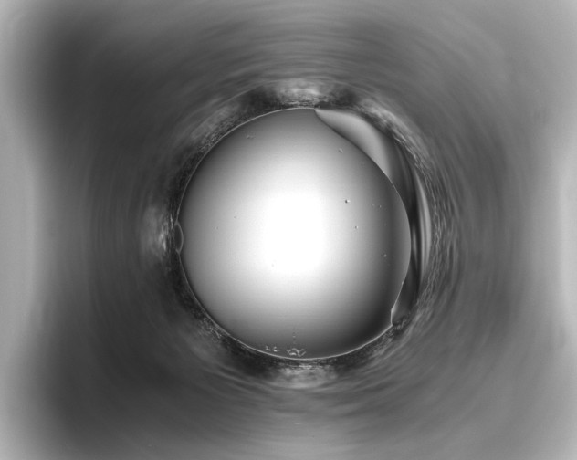 X0000096400125200801241208