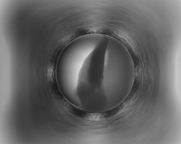 X0000096400127200801241208