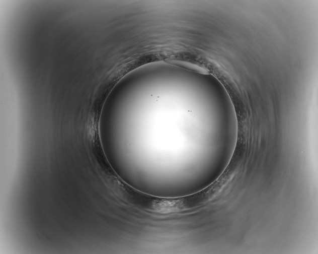 X0000096400129200801241208