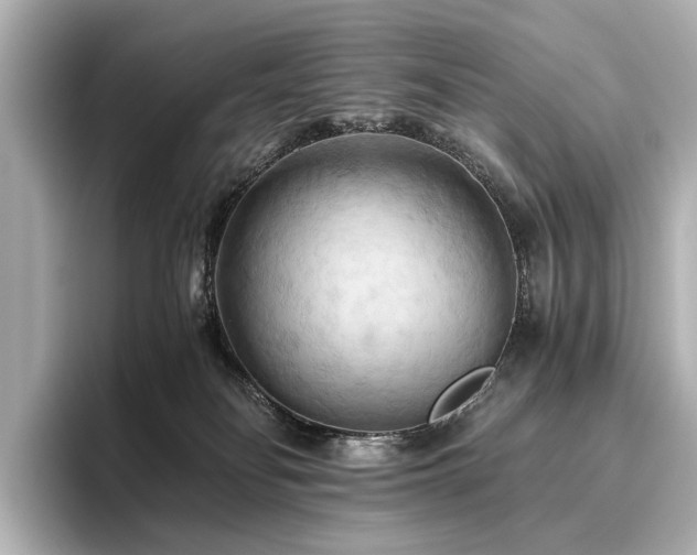 X0000096400134200801241208