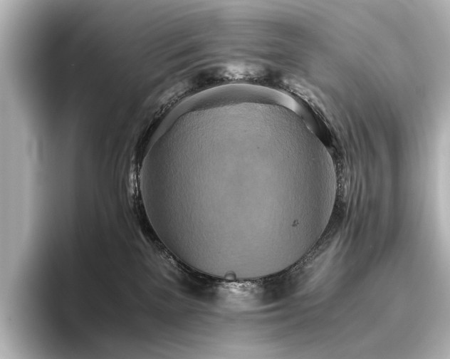 X0000096400137200801241208