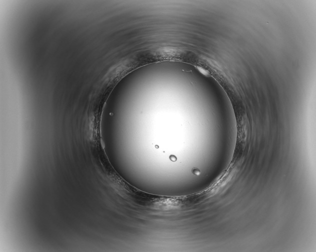 X0000096400140200801241208