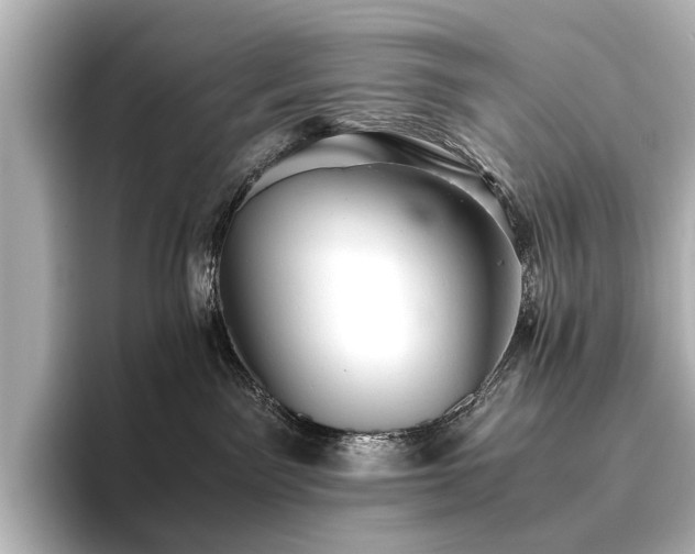 X0000096400141200801241208