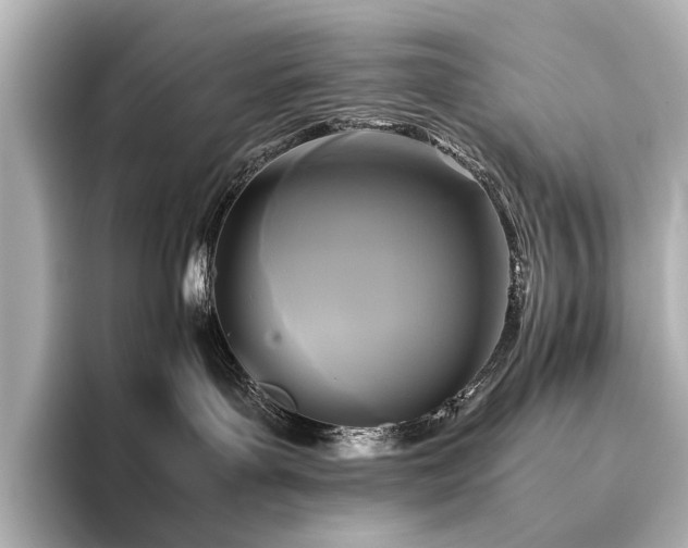 X0000096400143200801241208