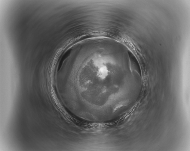 X0000096400145200801241207