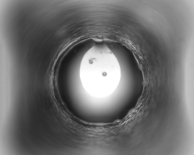 X0000096400146200801241207