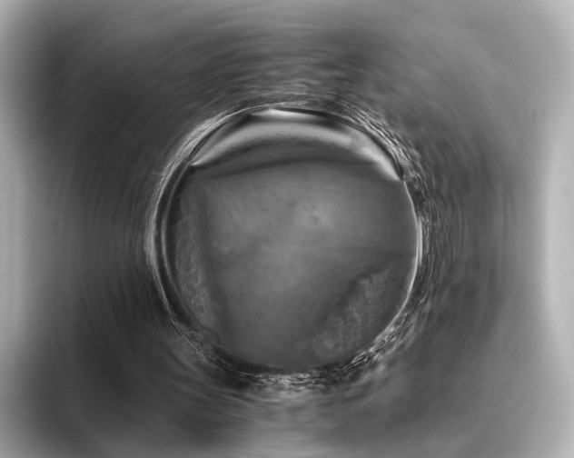 X0000096400147200801241207