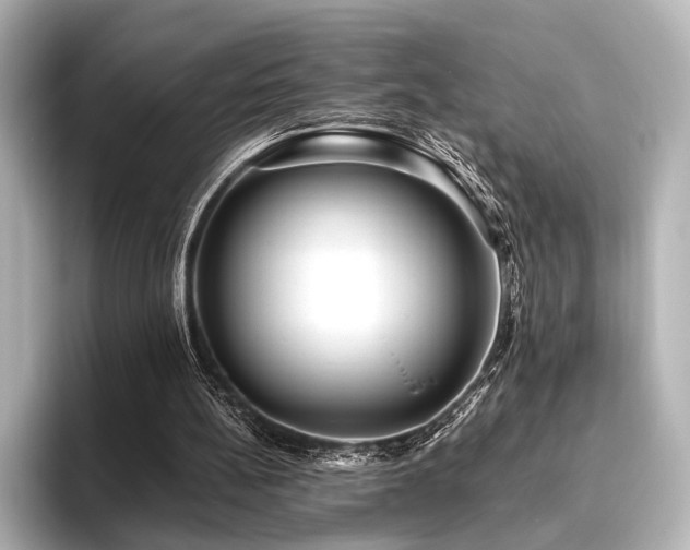 X0000096400148200801241207