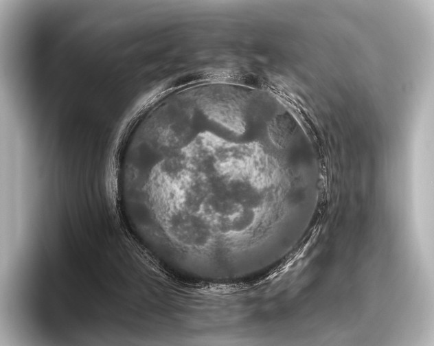 X0000096400149200801241207