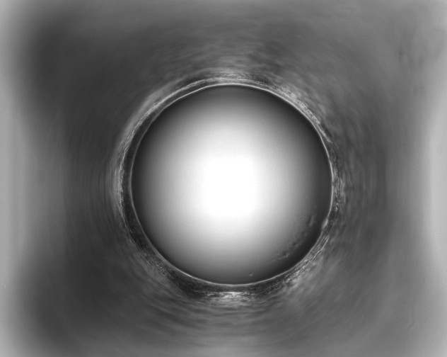 X0000096400151200801241207