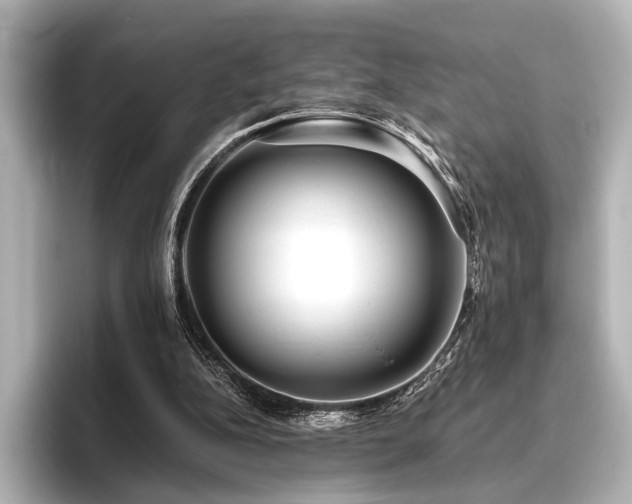 X0000096400152200801241207