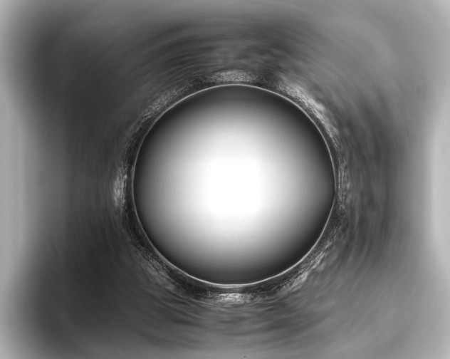 X0000096400153200801241207