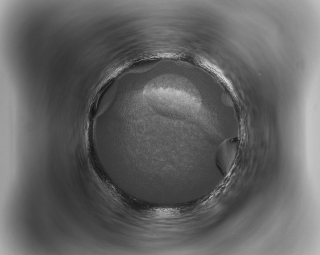 X0000096400154200801241207