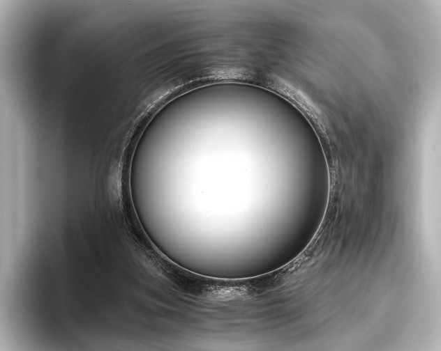 X0000096400155200801241208