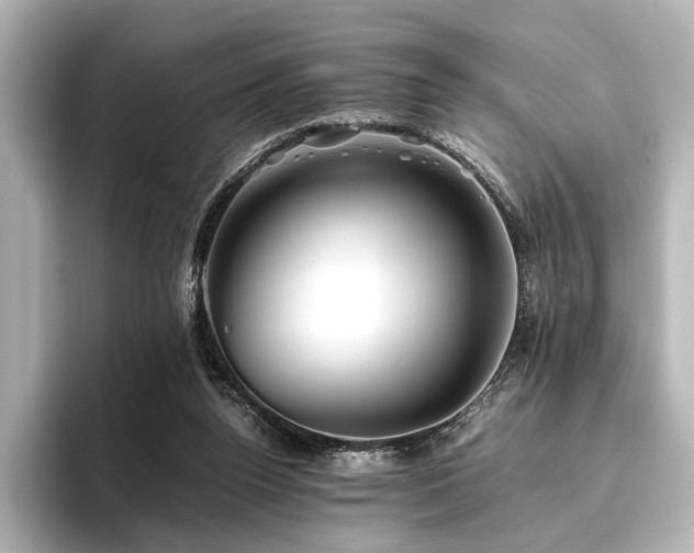 X0000096400160200801241208