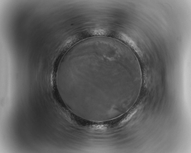 X0000096400161200801241208