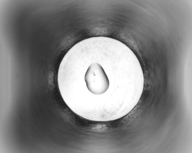 X0000096400162200801241208