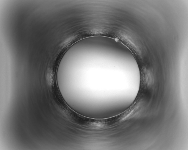 X0000096400164200801241208