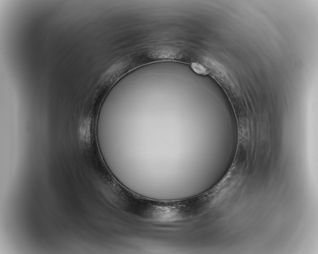 X0000096400167200801241208