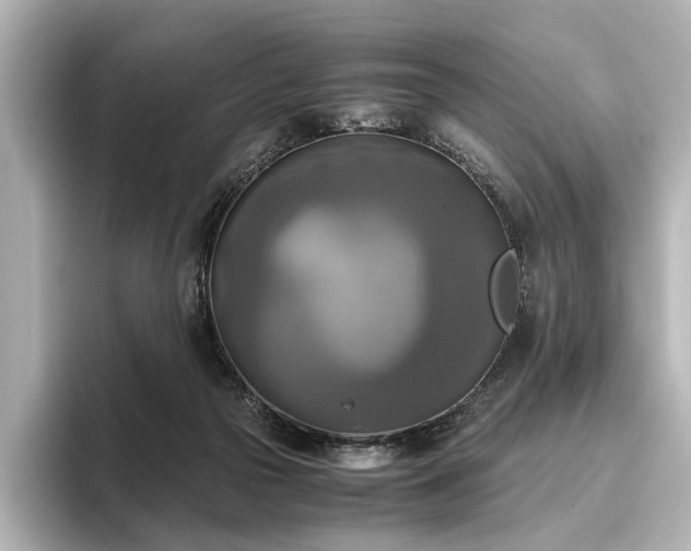 X0000096400169200801241208