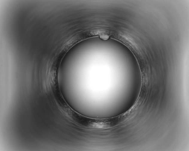 X0000096400171200801241208