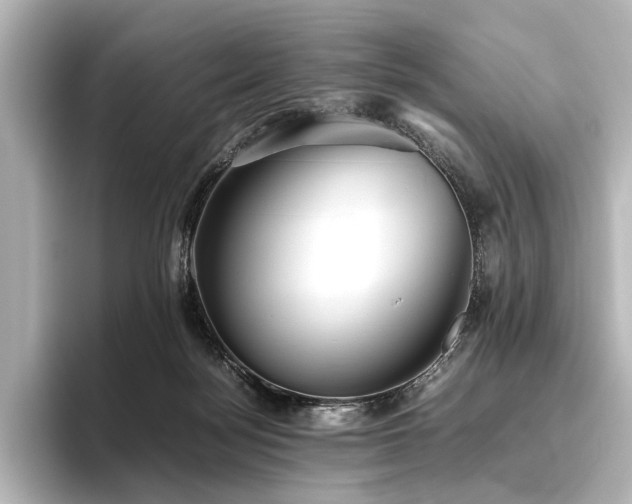 X0000096400172200801241208