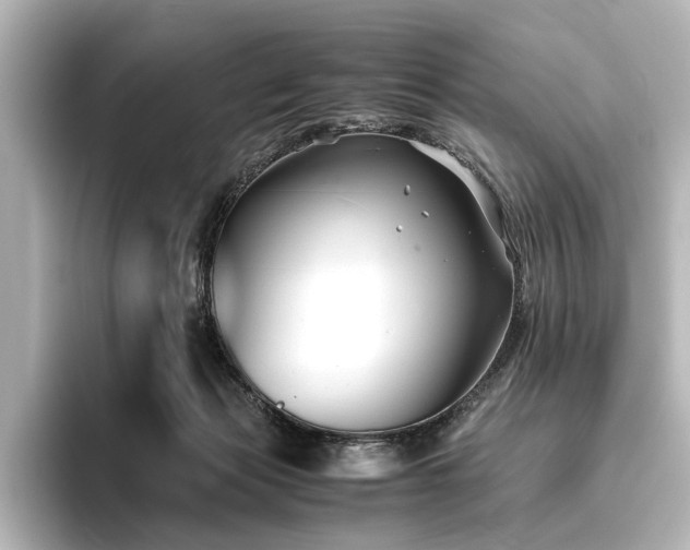 X0000096400173200801241208