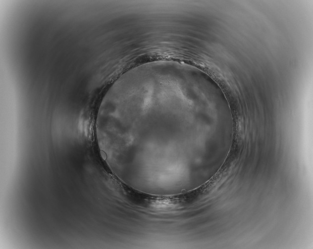 X0000096400177200801241208