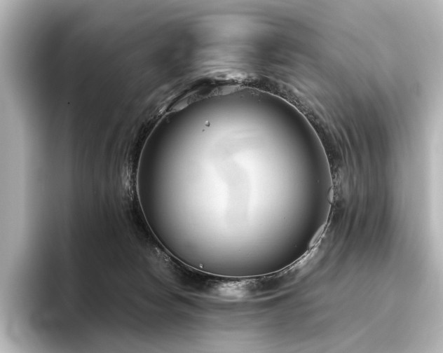 X0000096400178200801241208