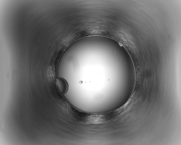 X0000096400179200801241208