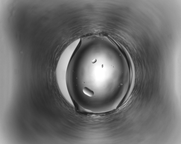 X0000096400180200801241208