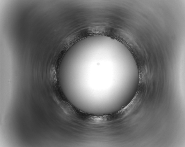 X0000096400187200801241208