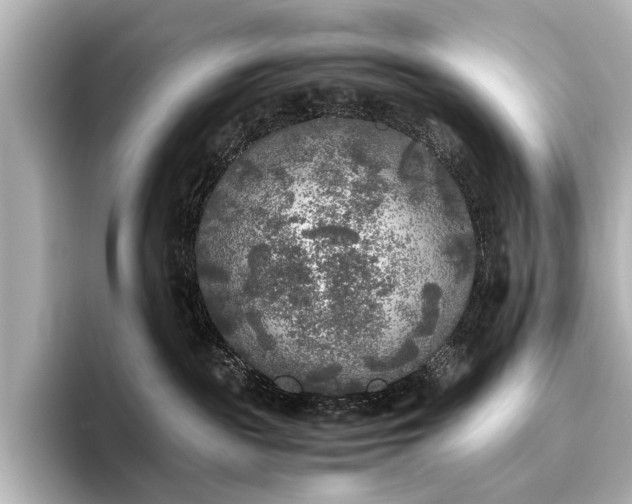 X0000096400189200801241208