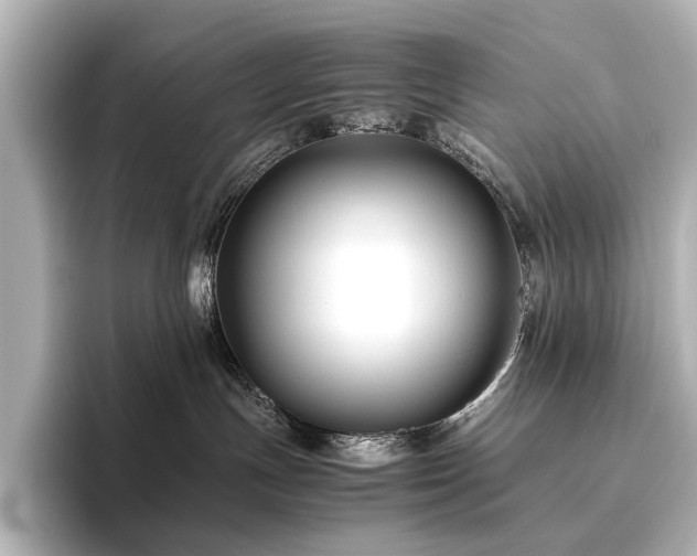 X0000096400191200801241208