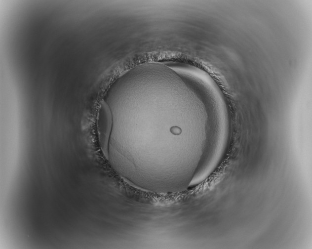 X0000096400192200801241208