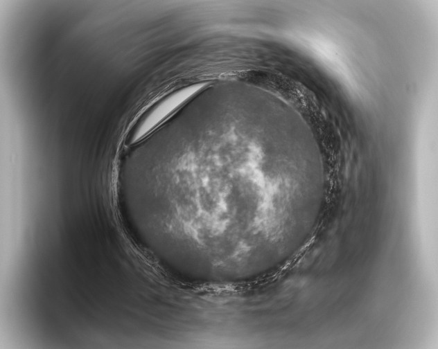 X0000096400194200801241207