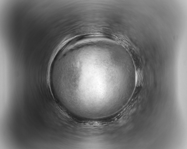 X0000096400195200801241207