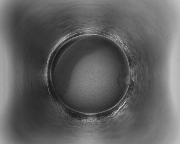 X0000096400196200801241207