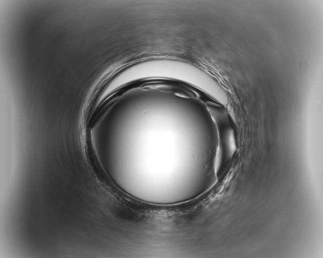 X0000096400197200801241207