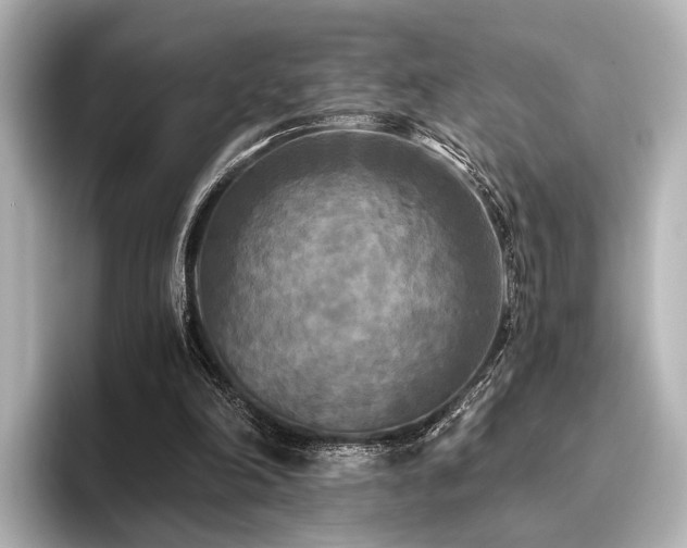 X0000096400198200801241207