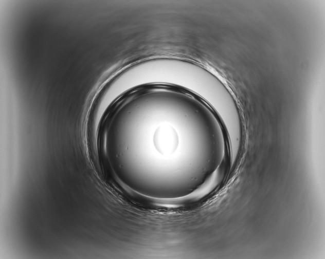 X0000096400199200801241207