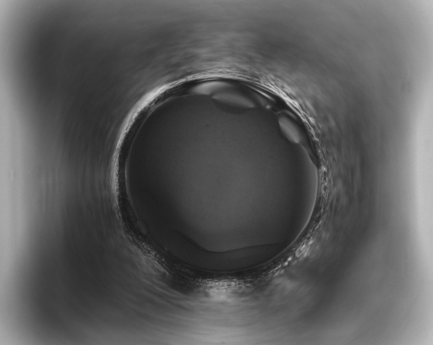 X0000096400200200801241207