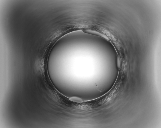 X0000096400201200801241207