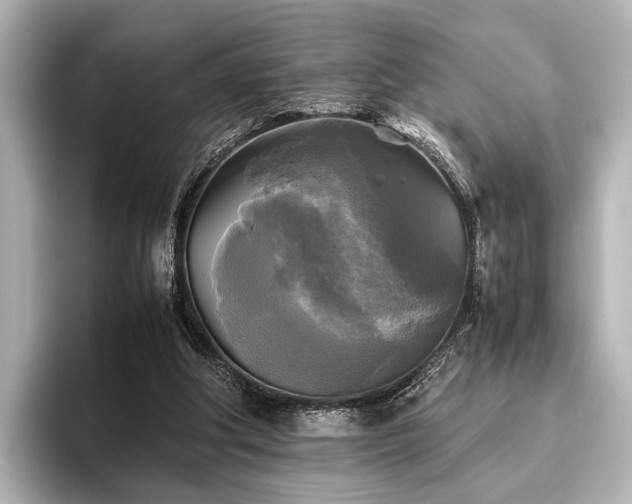 X0000096400202200801241207