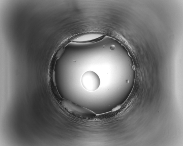 X0000096400203200801241207