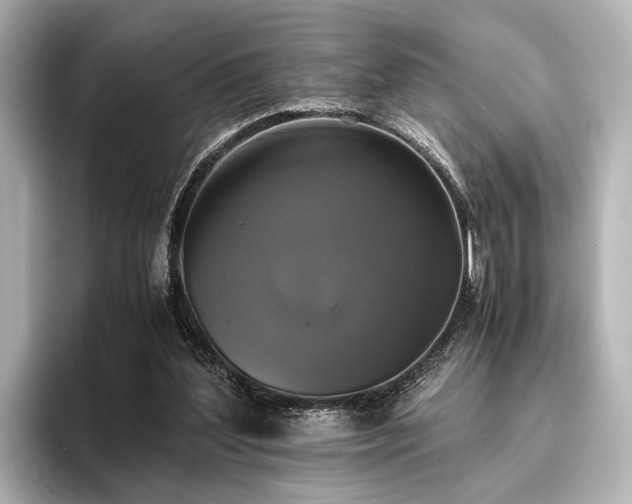 X0000096400204200801241207