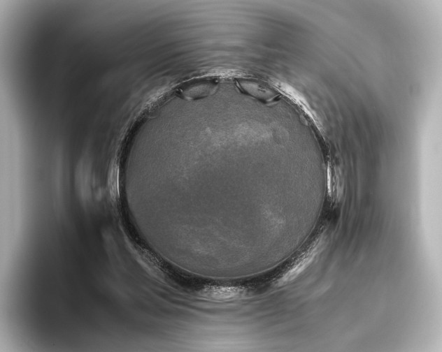 X0000096400205200801241207