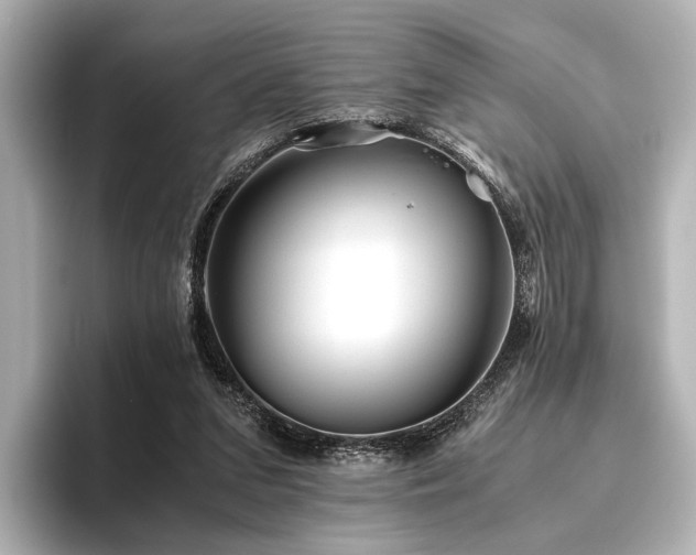 X0000096400207200801241207